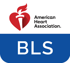 American Heart Association BLS Life Support