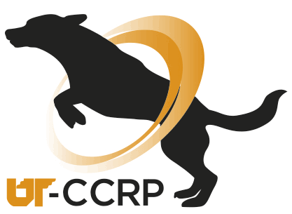 Clinical Research Professional (CCRP)
