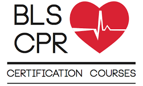 Basic Life Support (BLS)