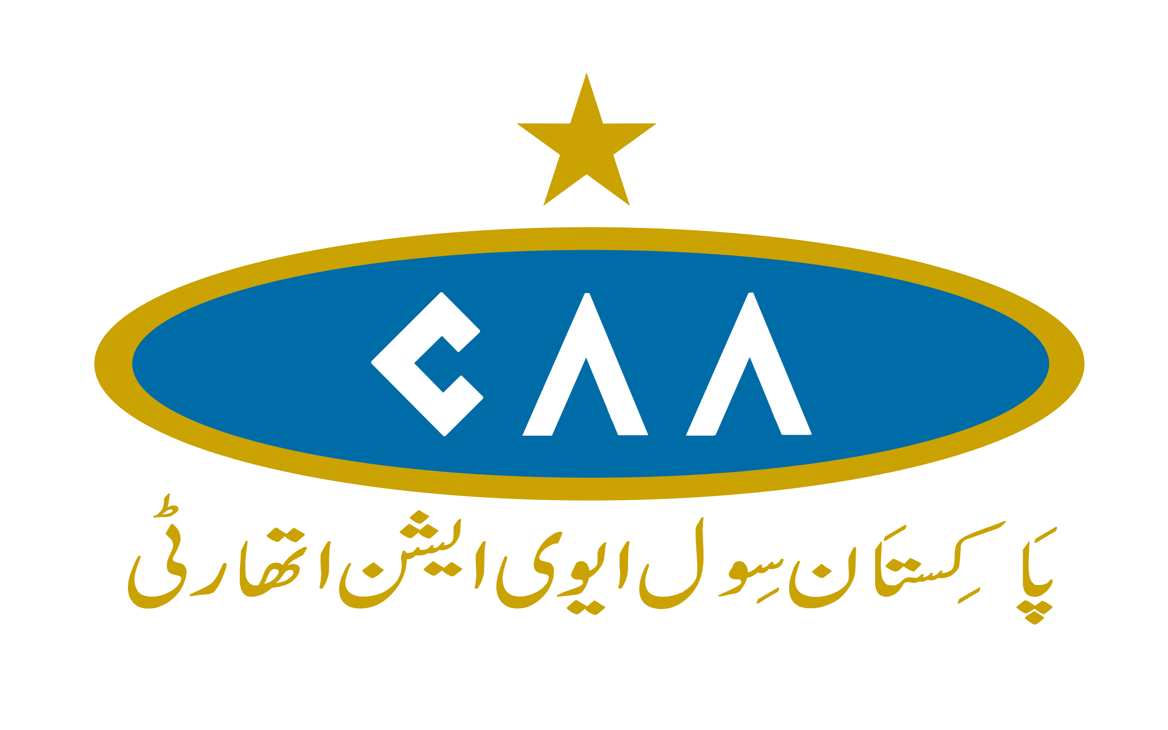 Civil Aviation Authority (CAA)