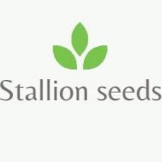 Stallion Seeds