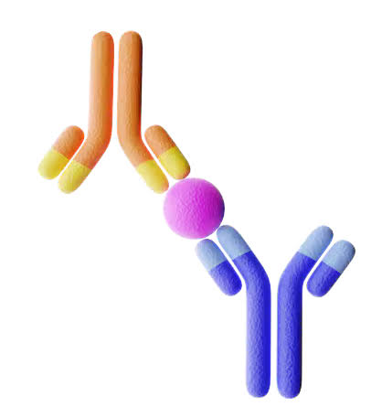 ELISA (Enzyme-Linked Immunosorbent Assay)