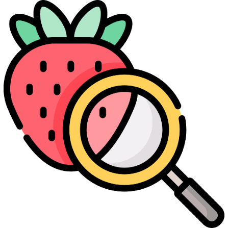 Food Frequency Questionnaire Tools