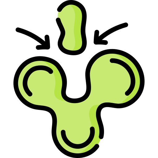 Enzyme Technology & Bioassays
